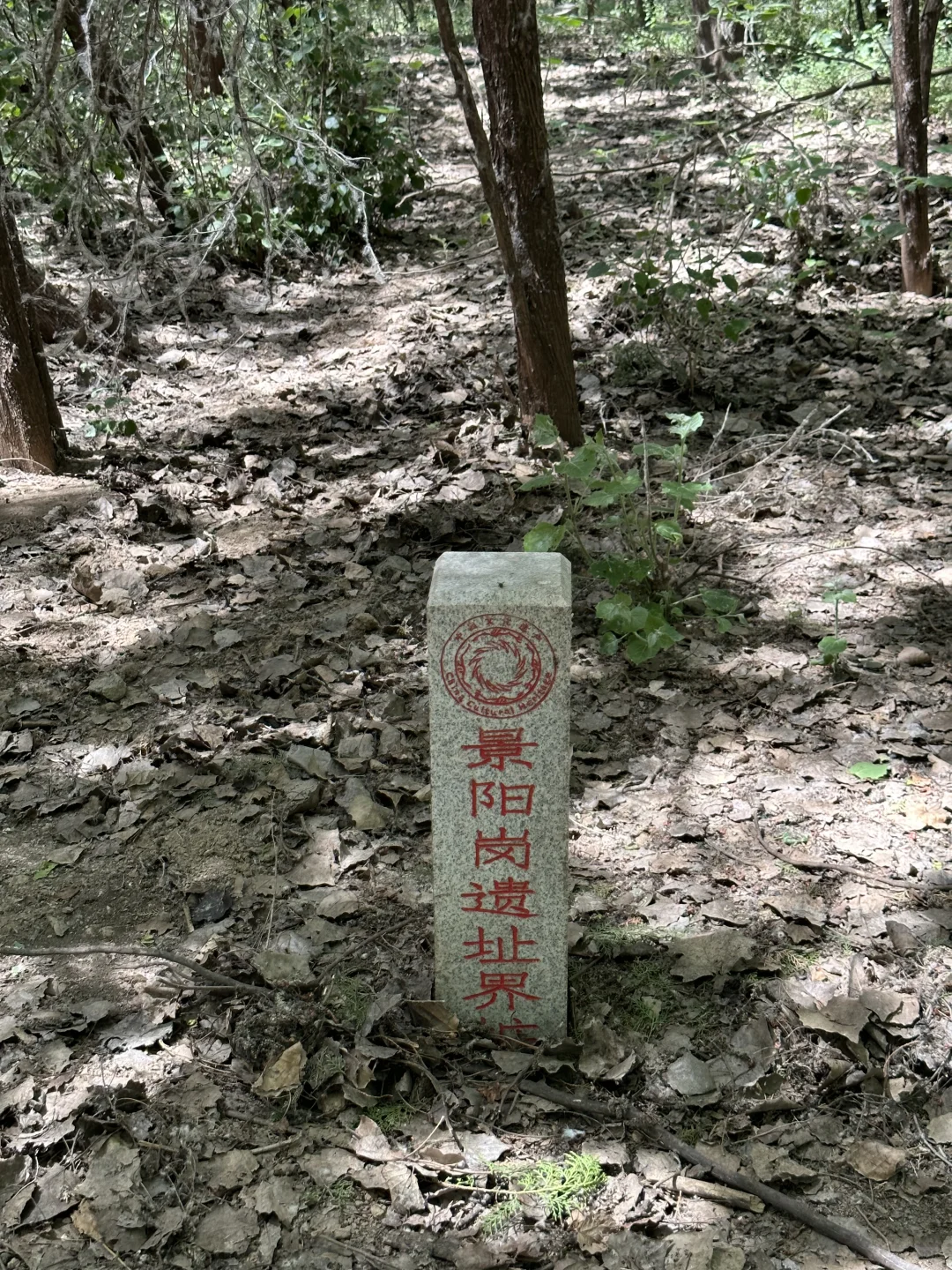 🐅景阳冈 | 走进水浒的传奇世界