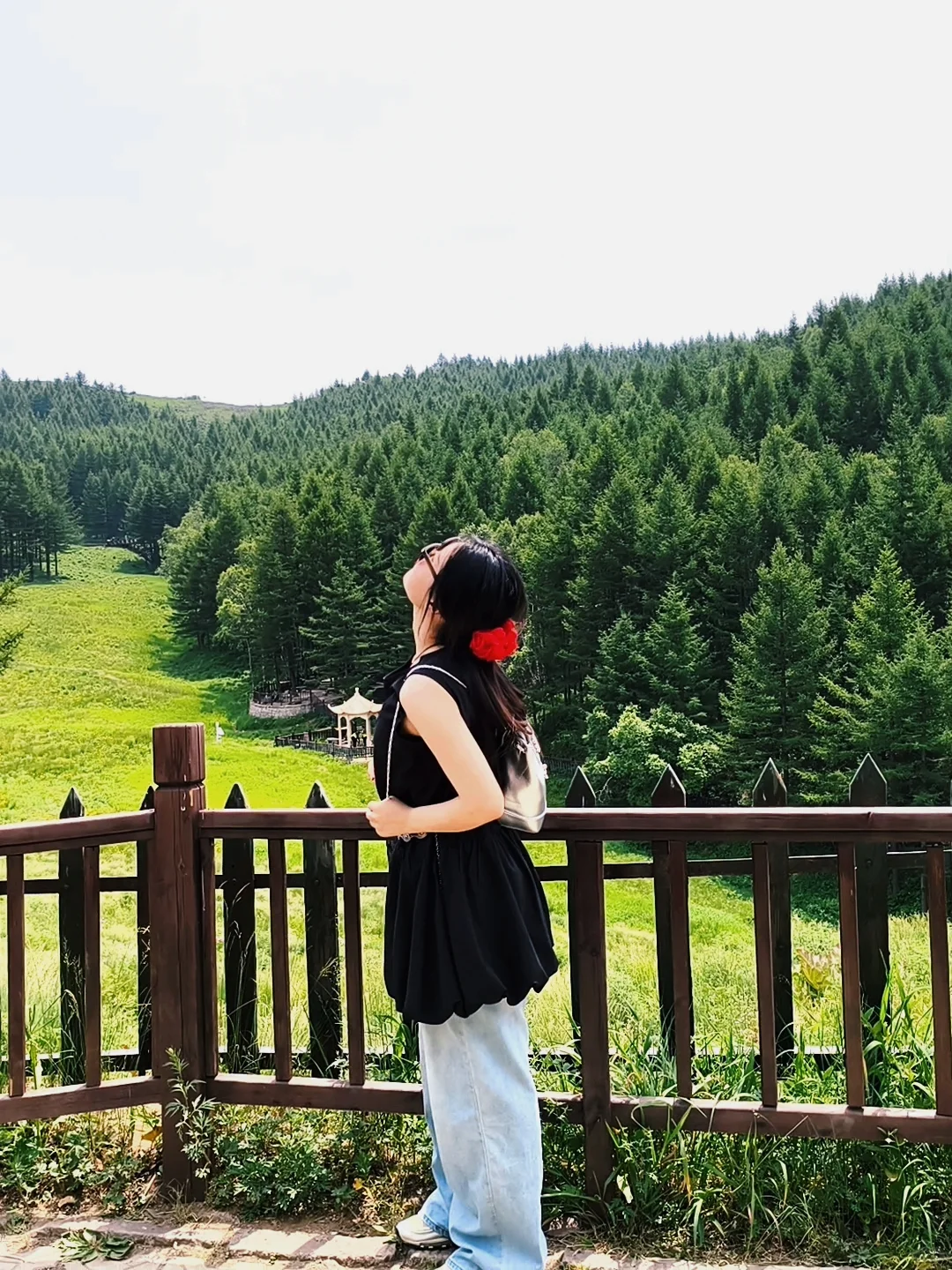 驼梁太美了!!!自由万岁～