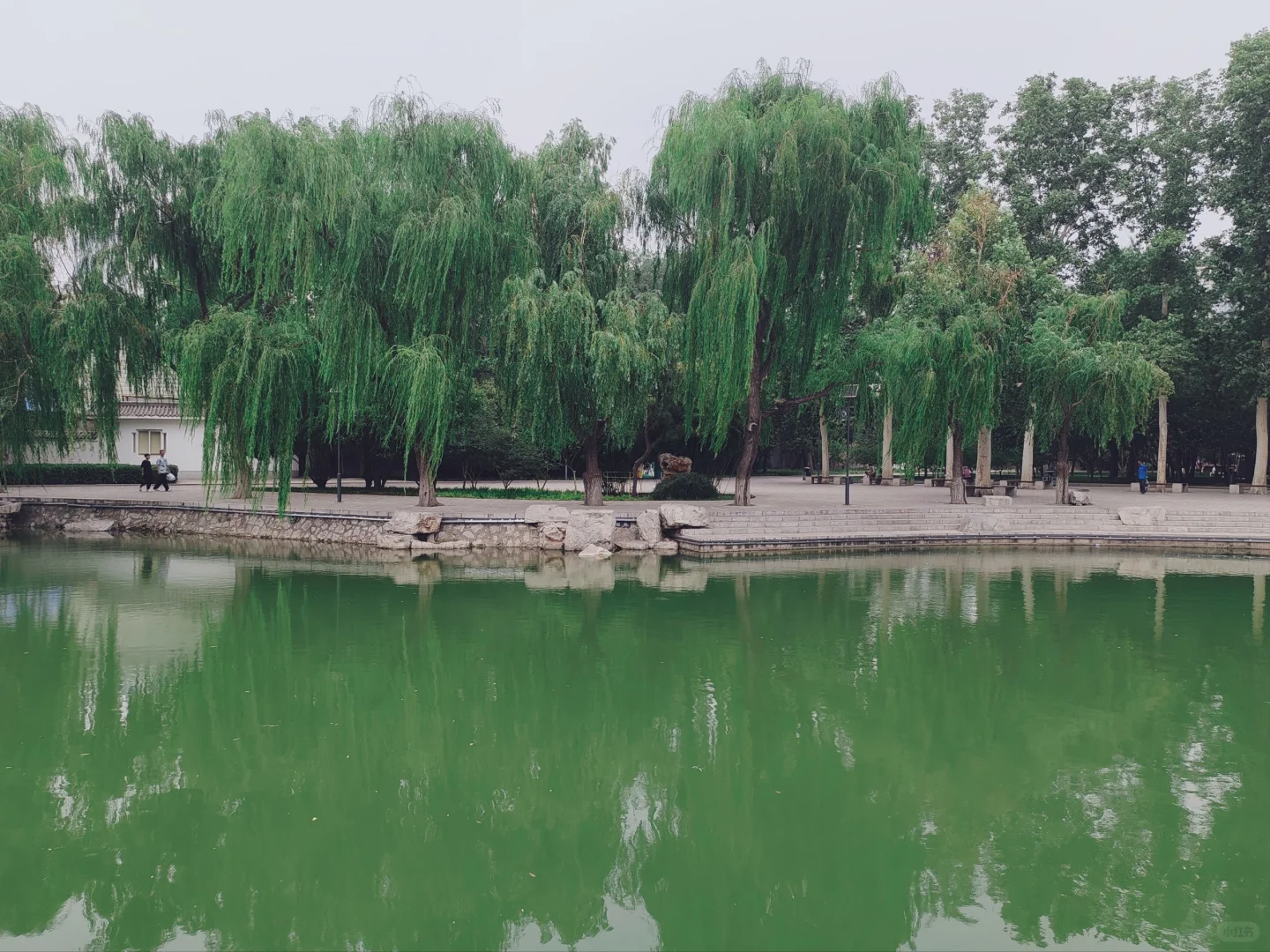 邯郸 | 被低估的历史文化宝藏，太值得一去