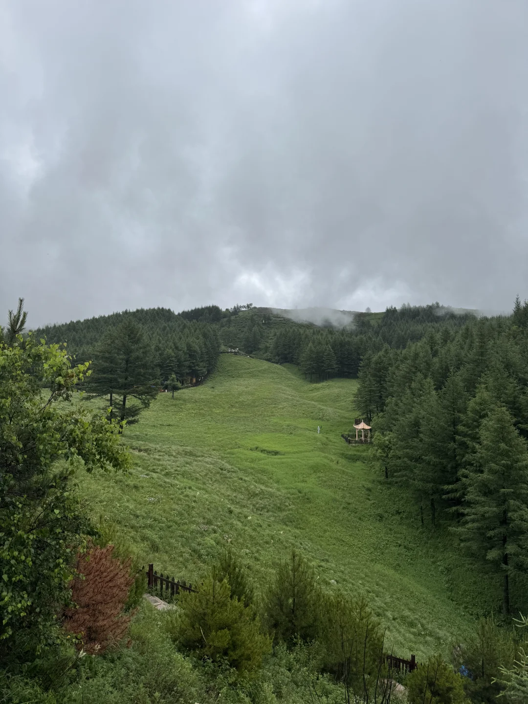 雨中驼梁