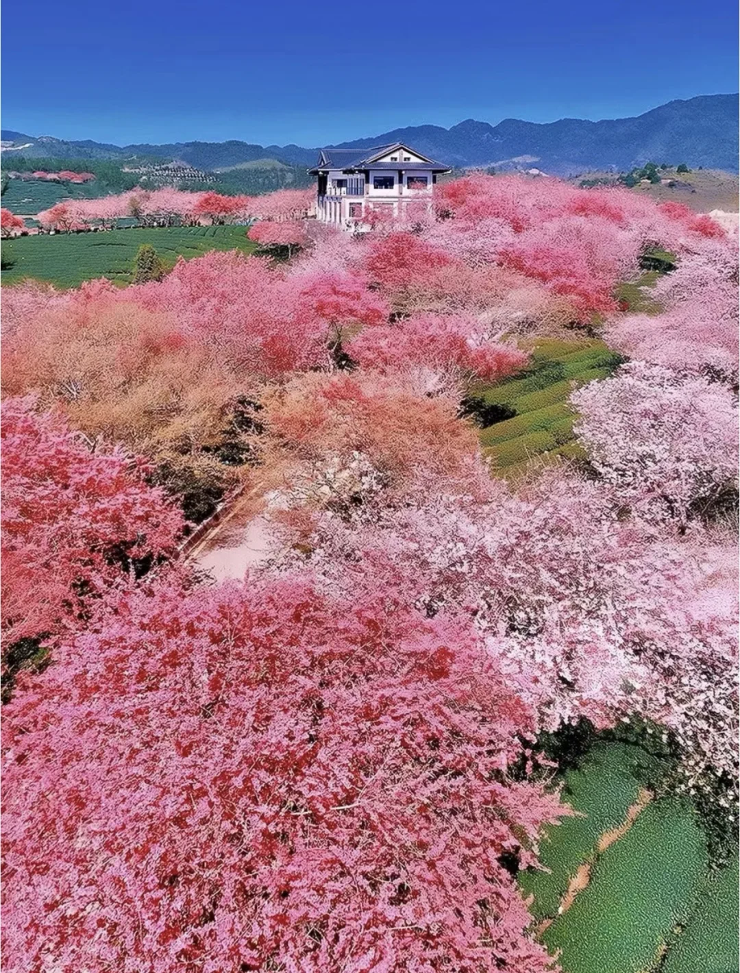 太爱漳州了！闽E