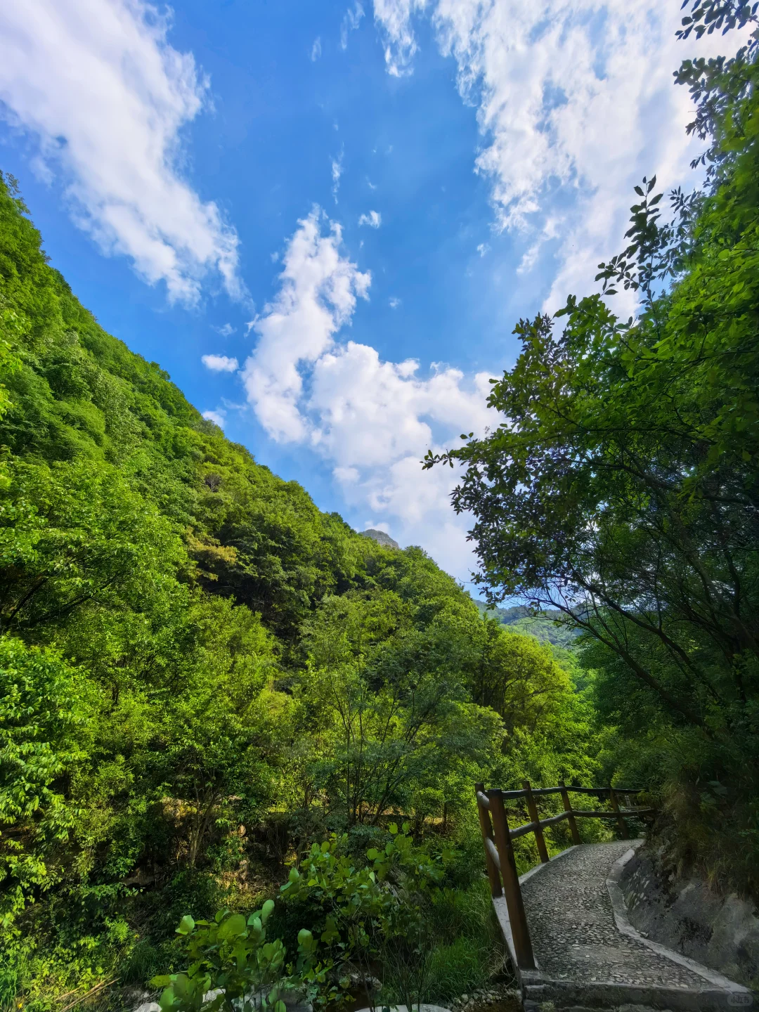 去洛阳栾川后劲太大了