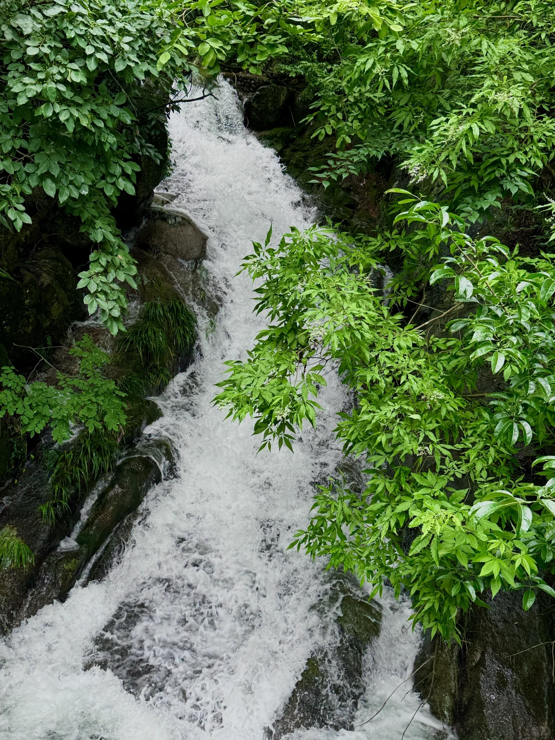 六安溯溪玩水宝藏去处-独山龙井沟景区