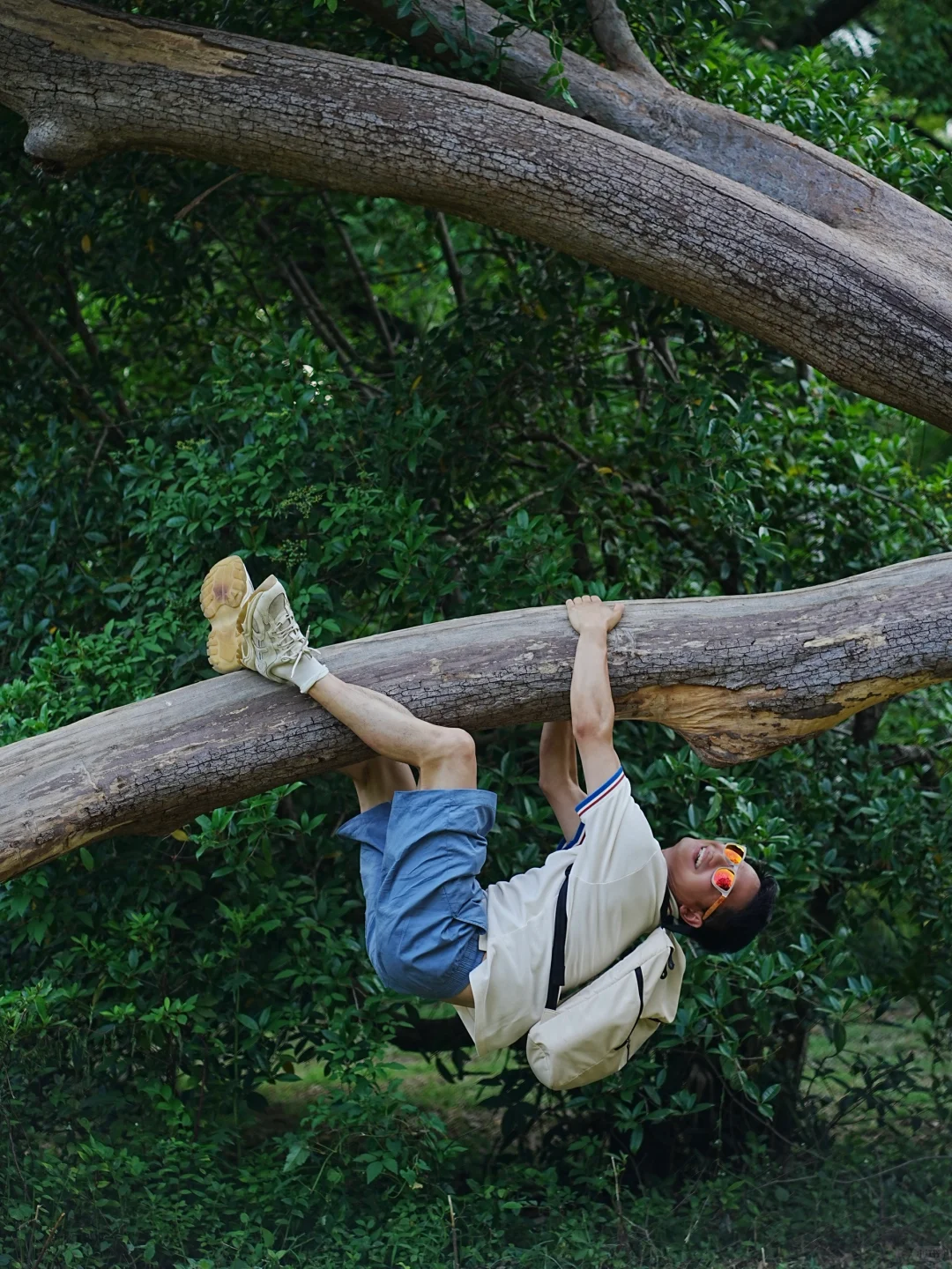 东湖就是一个巨大的能量场🌳🌳🌳