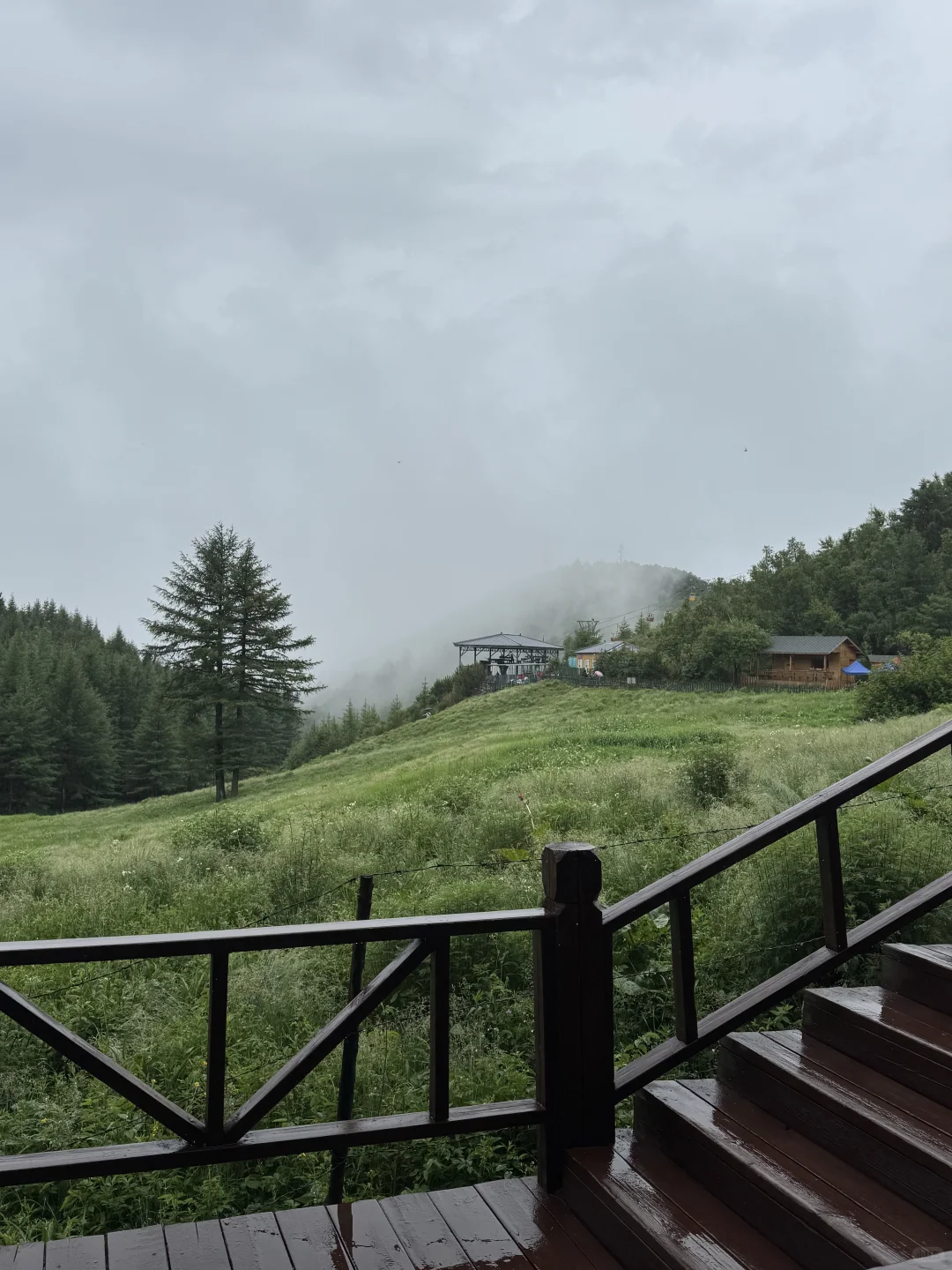 雨中驼梁