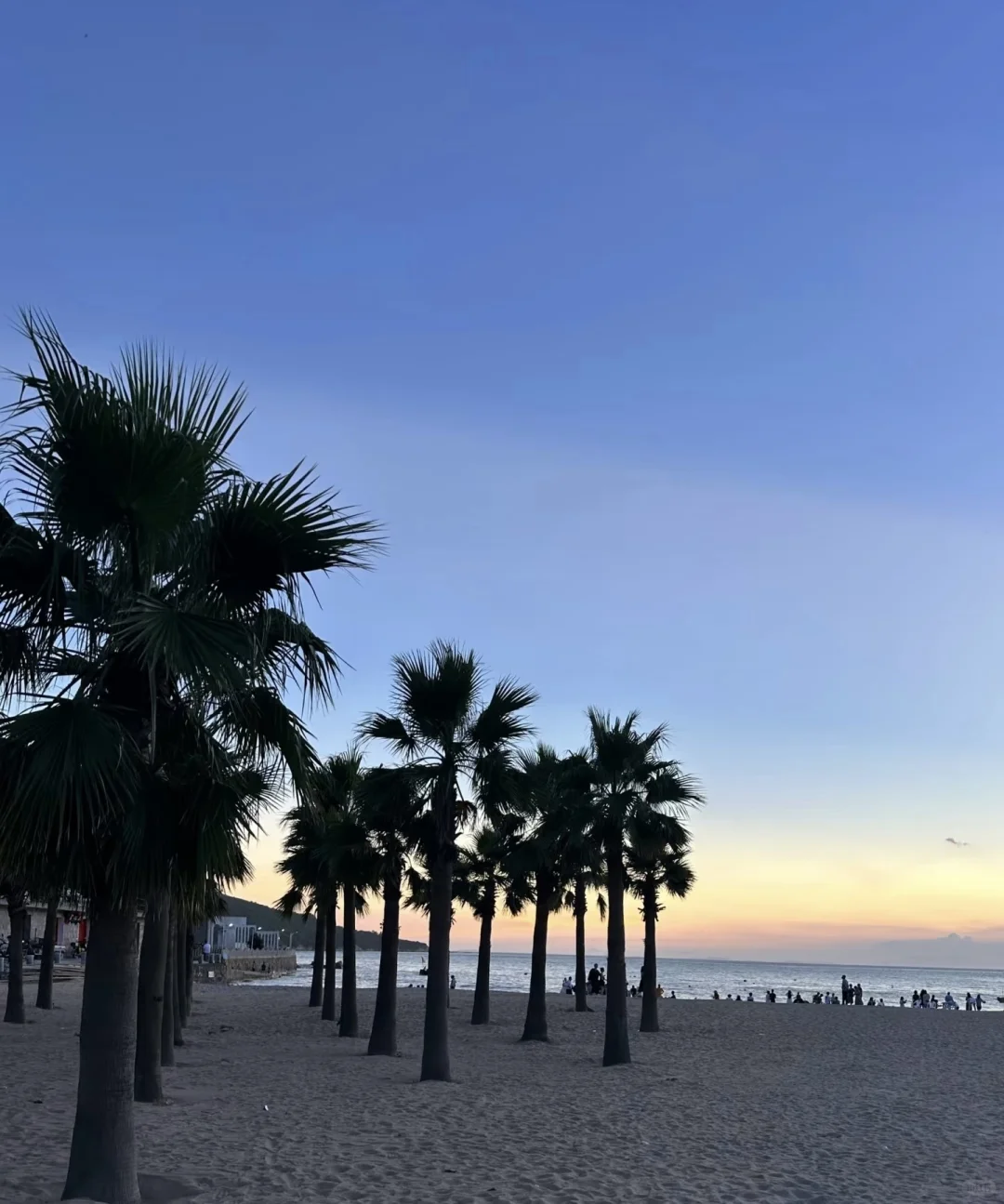 📍温州：你刚好出现时 温州就浪漫了💕