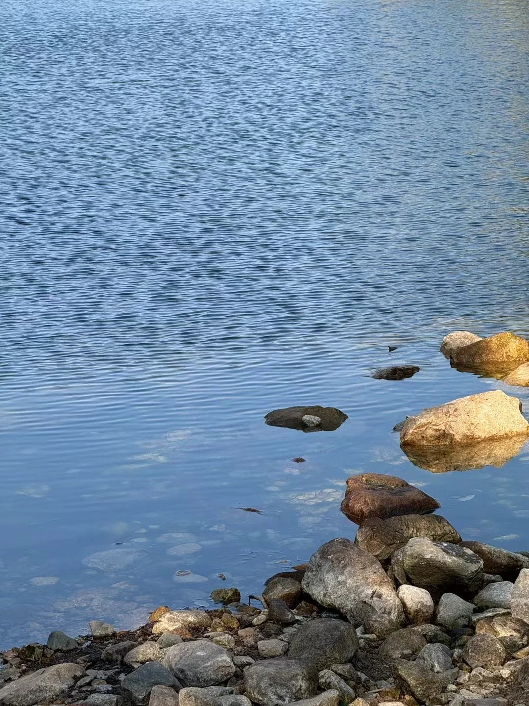 🌿免费踏青宝藏地！泰安东御道的小众治愈秘