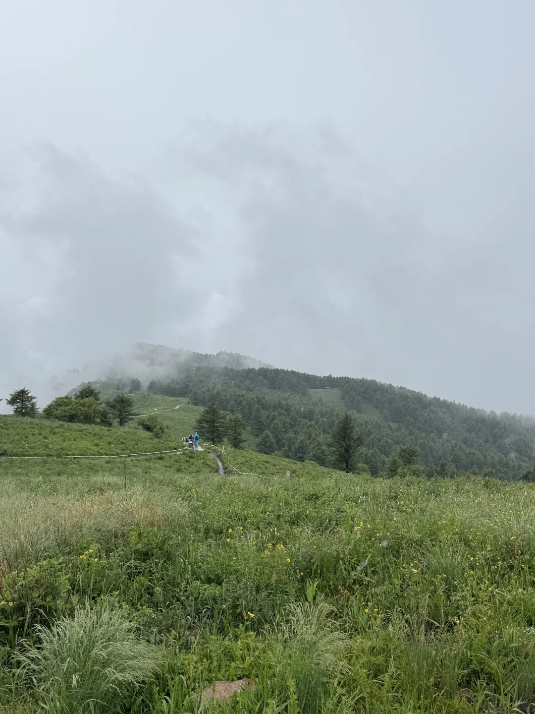 雨中驼梁