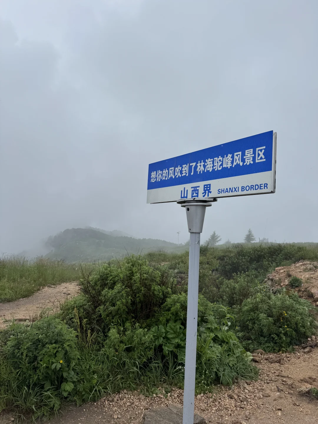 雨中驼梁