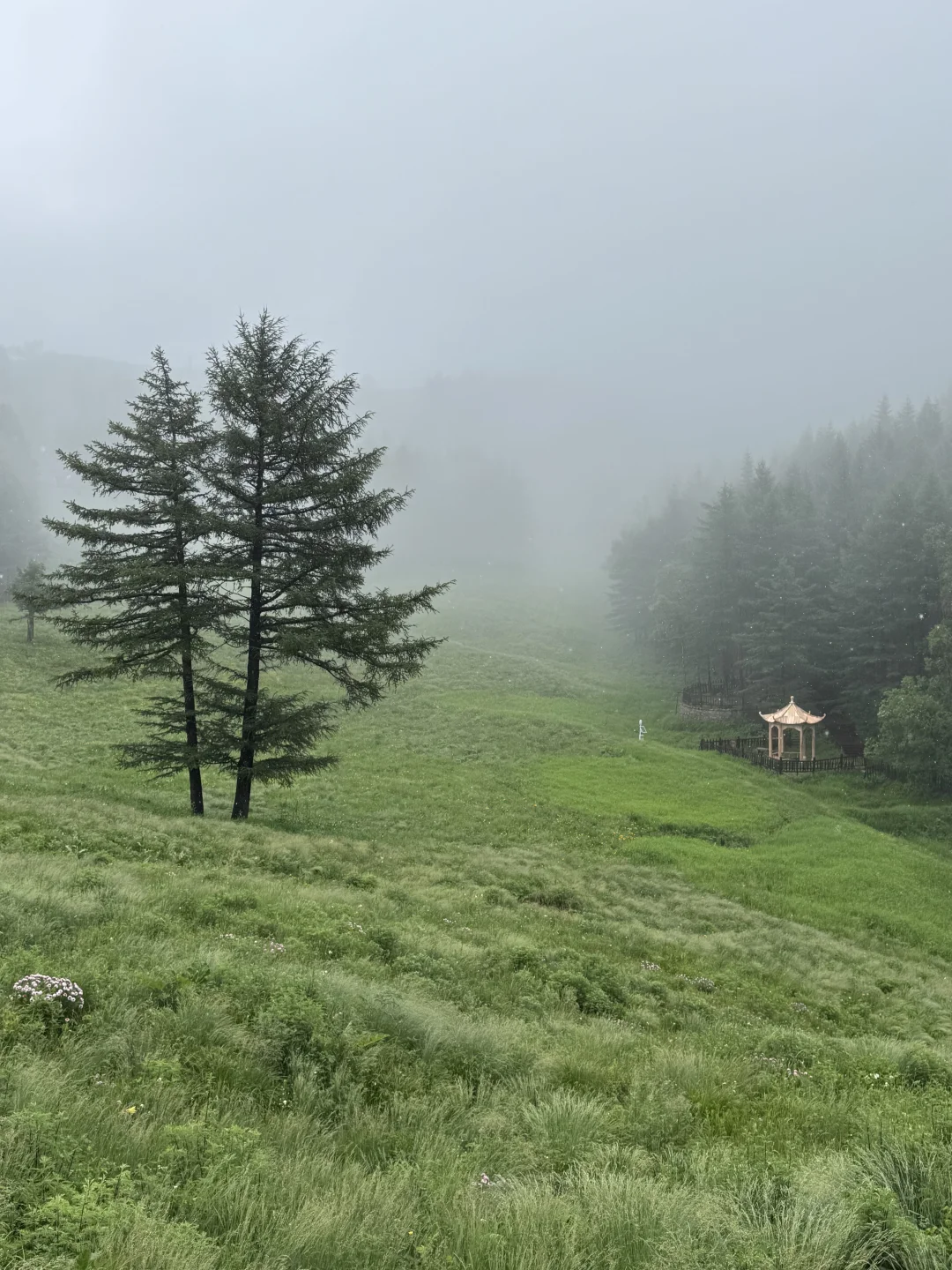 雨中驼梁