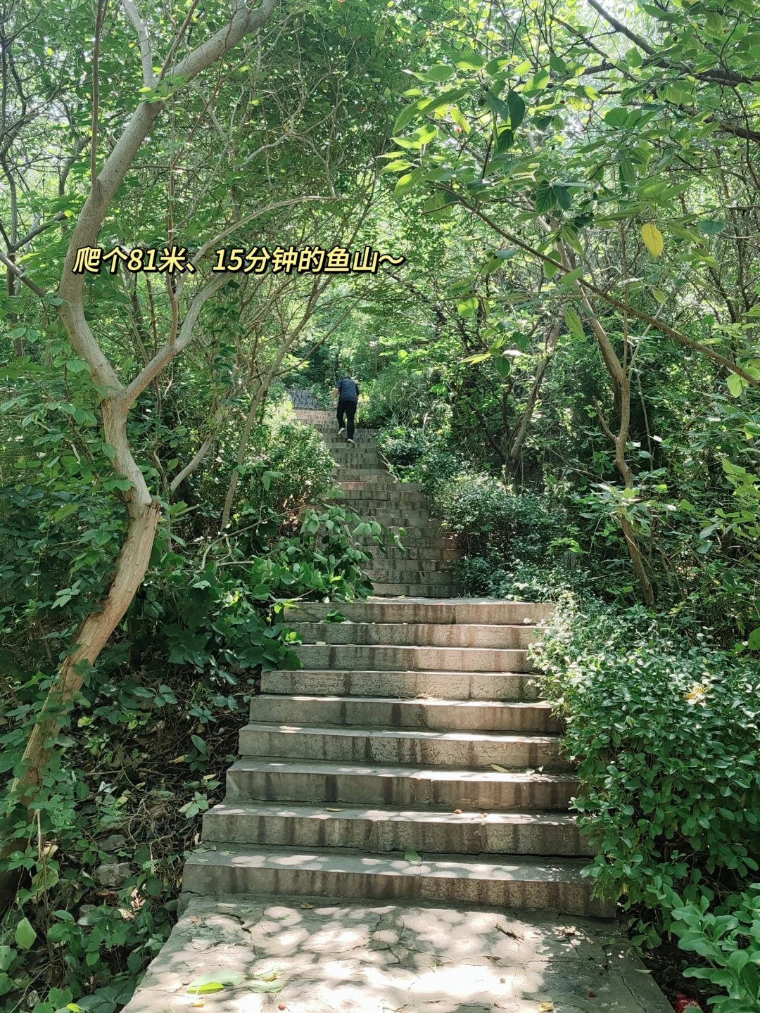 东阿｜鱼山｜曹植