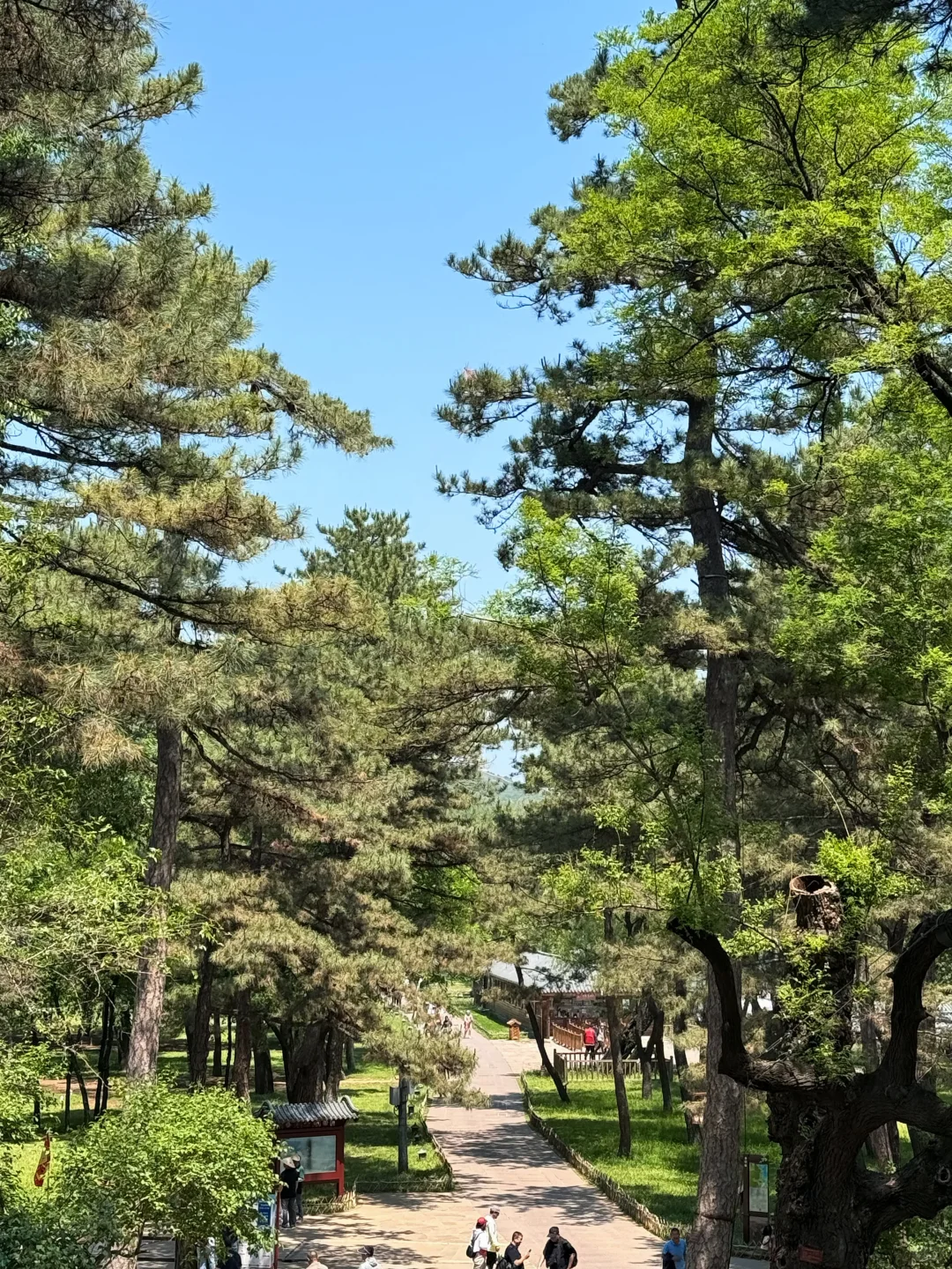 河北承德｜皇帝的私人度假村｜避暑山庄