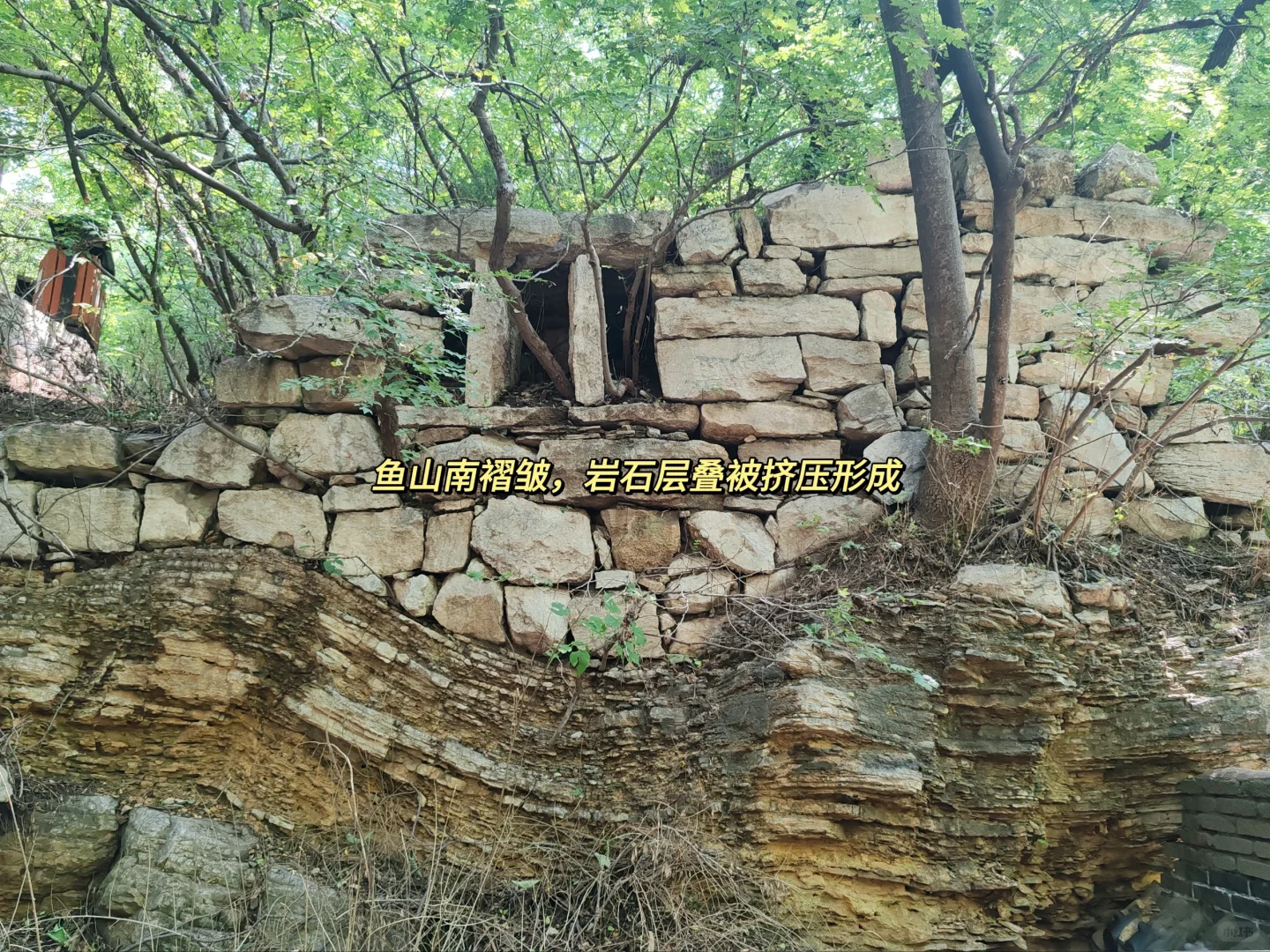 东阿｜鱼山｜曹植