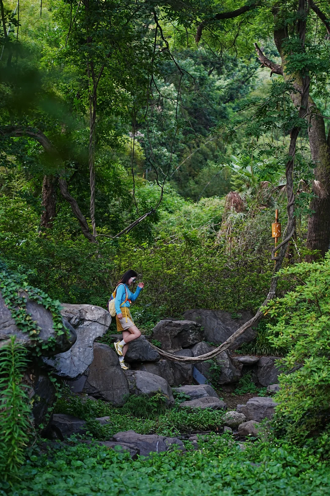 东湖就是一个巨大的能量场🌳🌳🌳