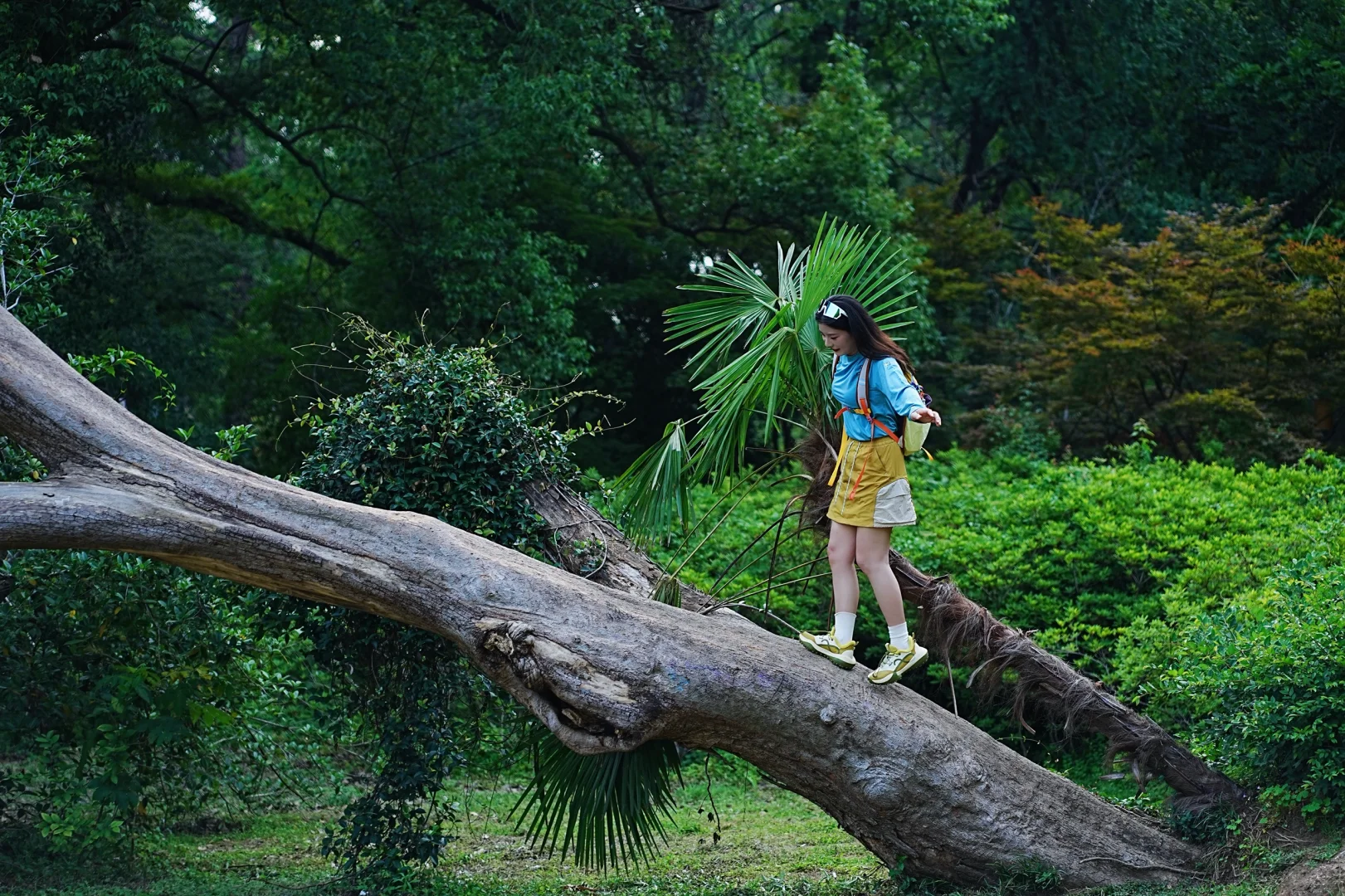 东湖就是一个巨大的能量场🌳🌳🌳