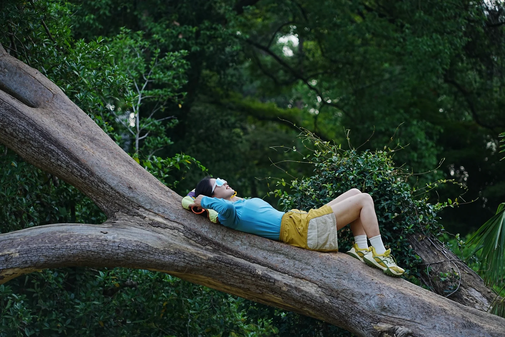 东湖就是一个巨大的能量场🌳🌳🌳