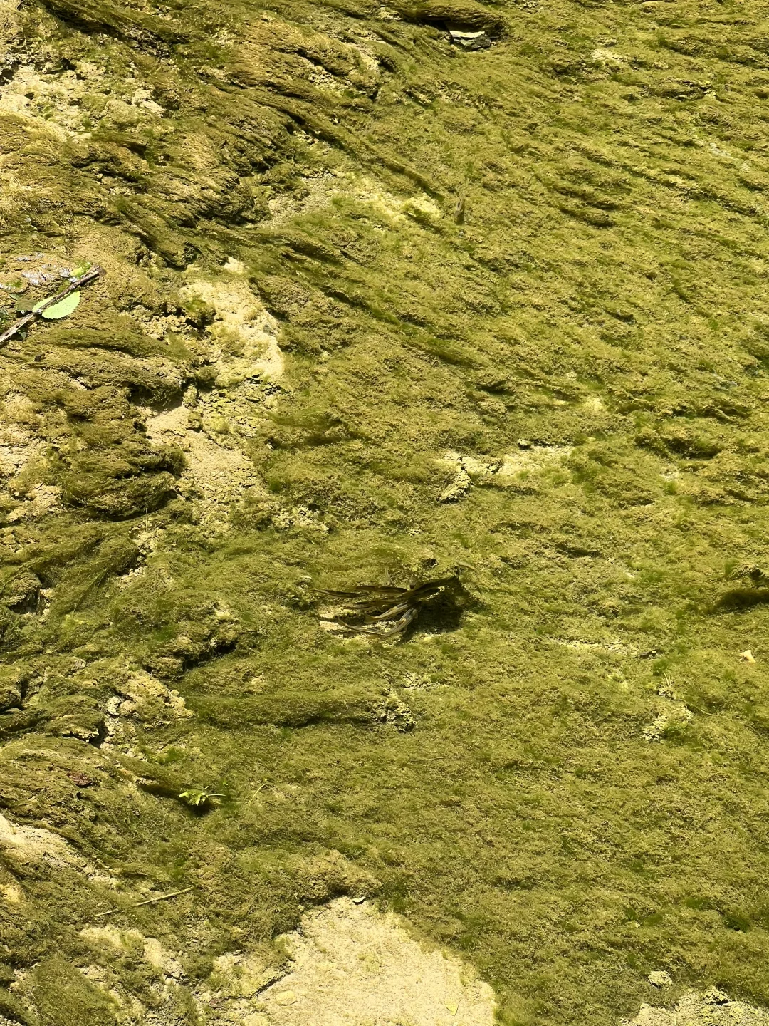 走晋 八泉峡