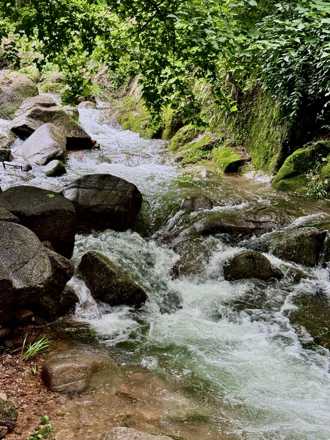 六安溯溪玩水宝藏去处-独山龙井沟景区