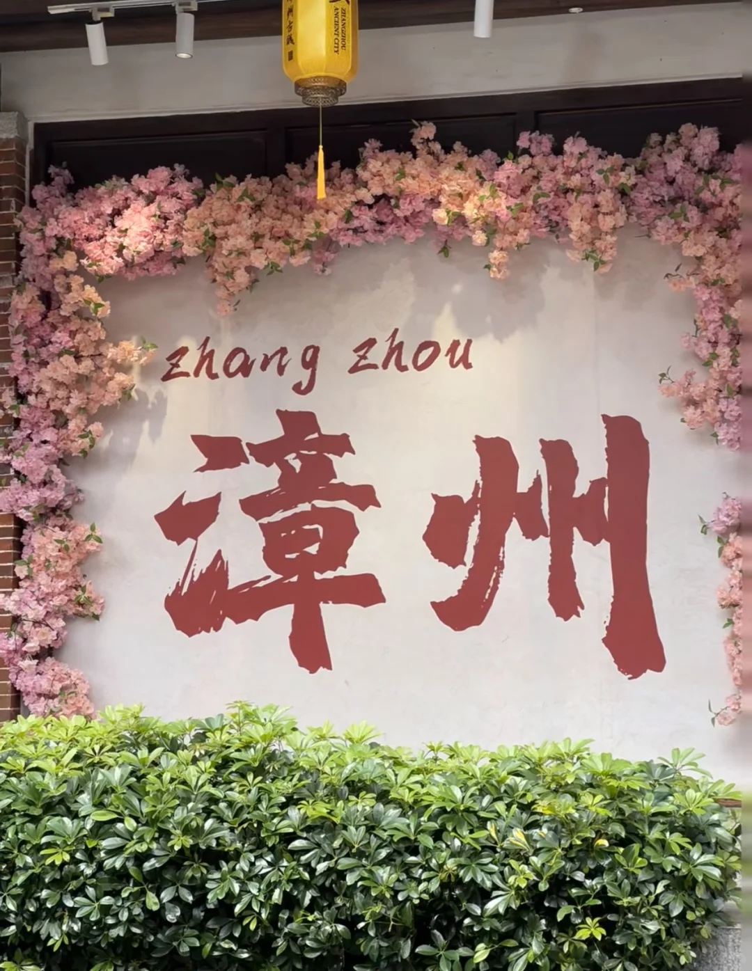 太爱漳州了！闽E