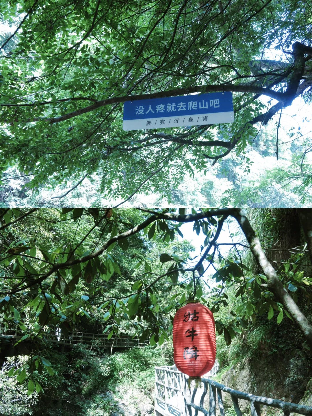 📍在安徽池州｜ 这真的不是照骗吗.....🥹