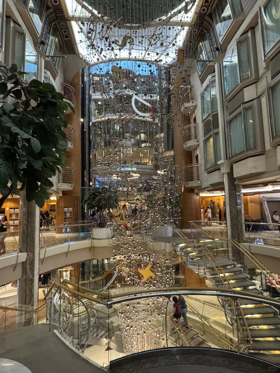 🚢🛳️live图 最放松的五天