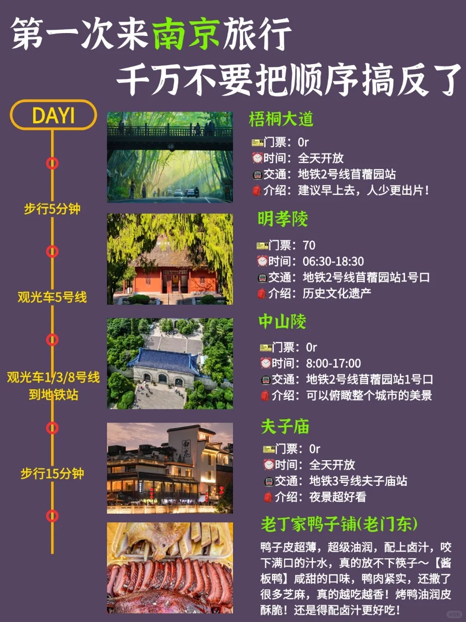04女大🚗独闯南京 | 3天不绕路旅游攻略
