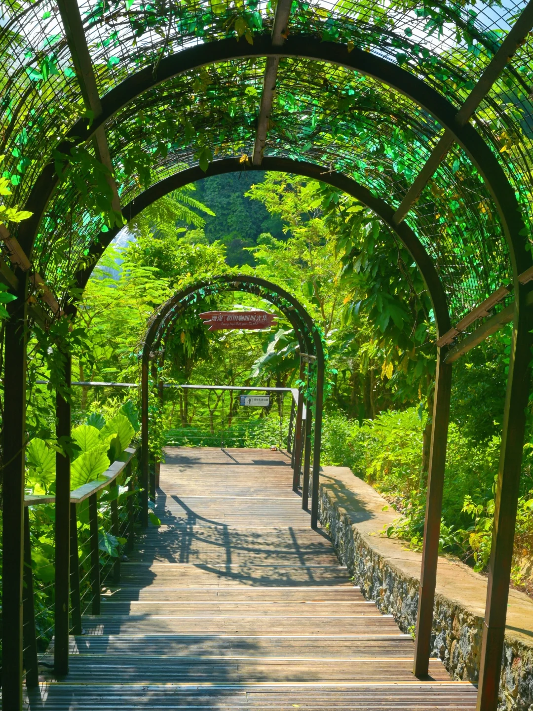 📍探秘崇左，德天跨国瀑布打卡攻略