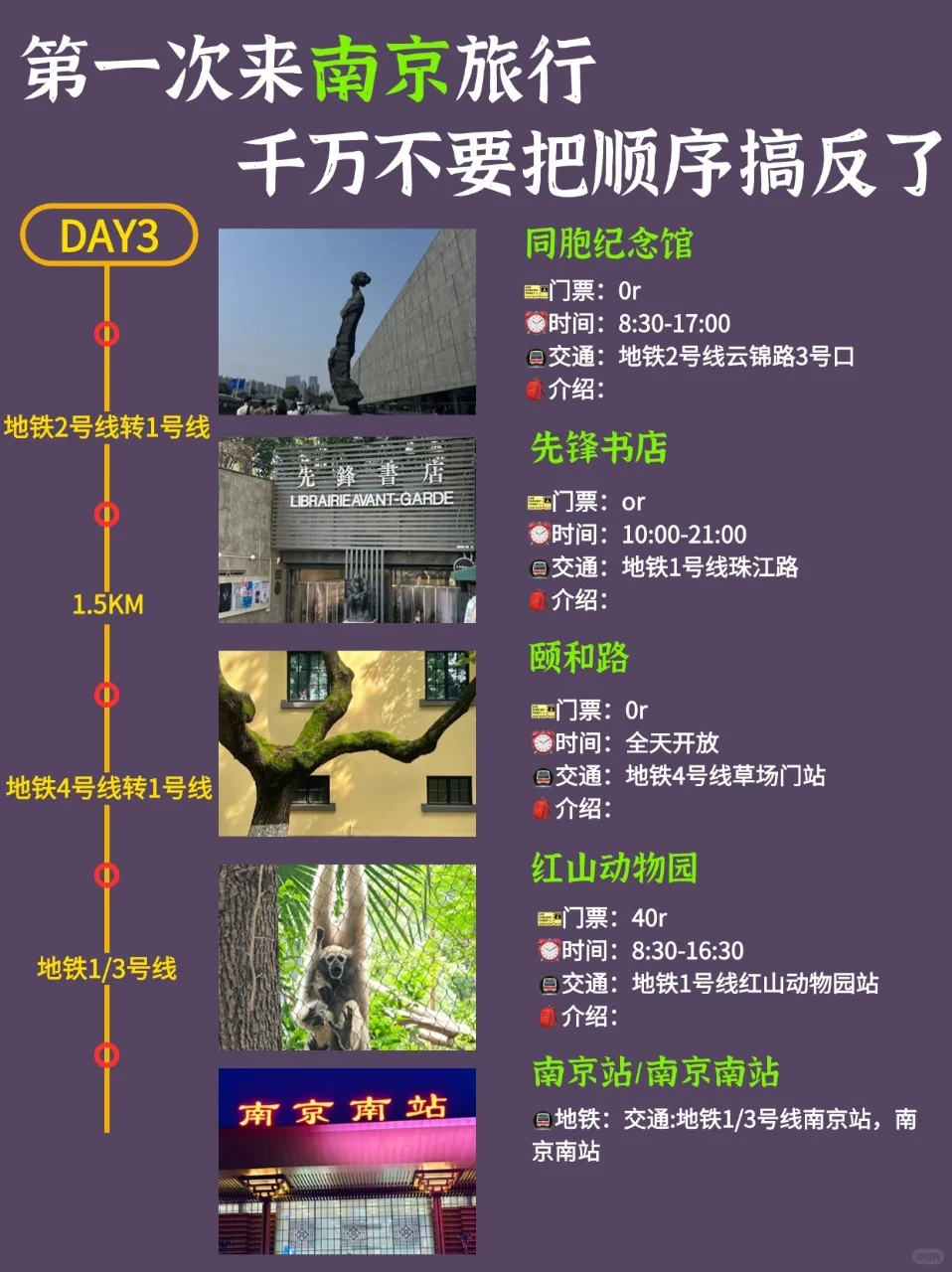 04女大🚗独闯南京 | 3天不绕路旅游攻略