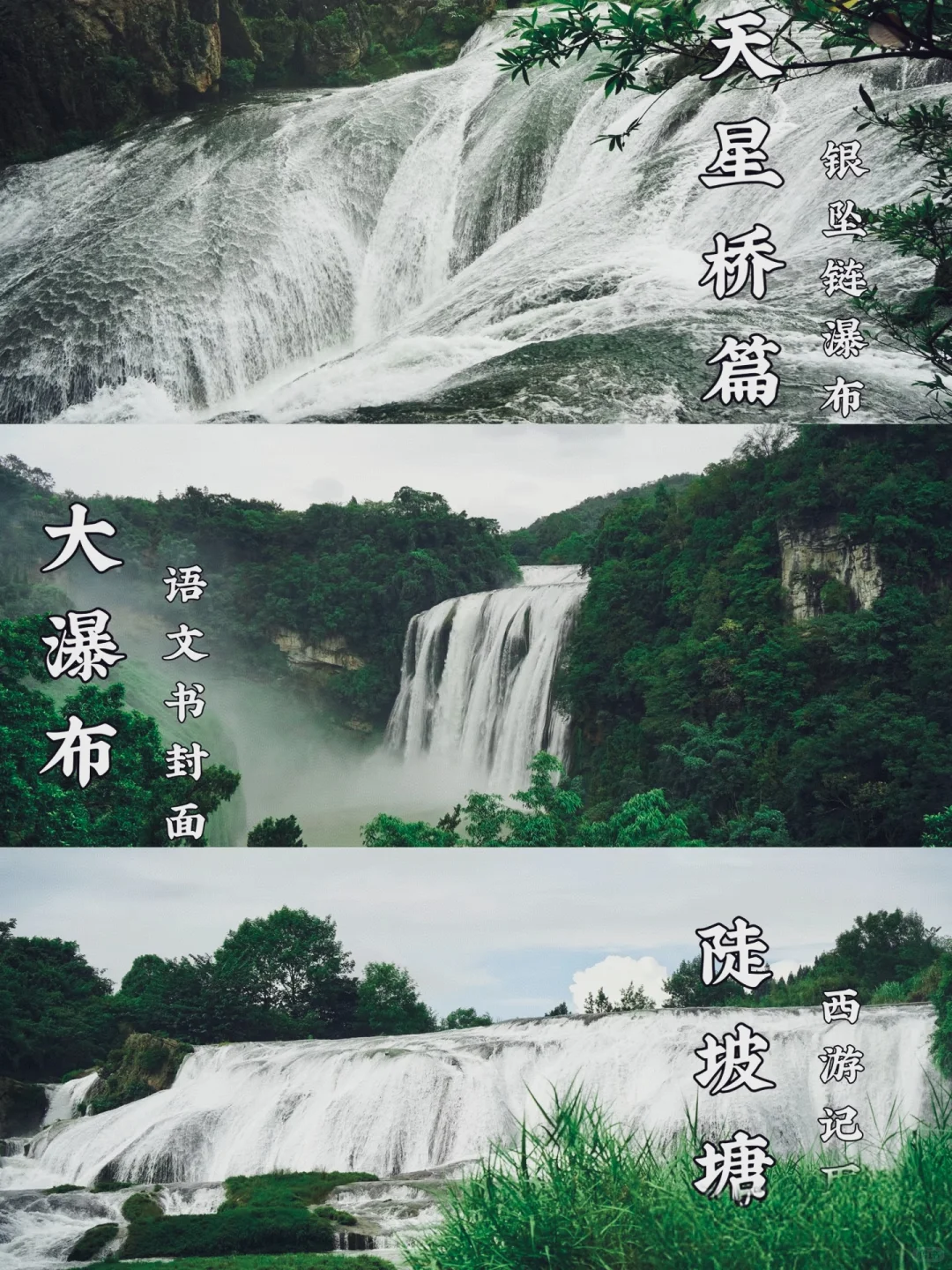 被黄果树大瀑布美晕了！！！