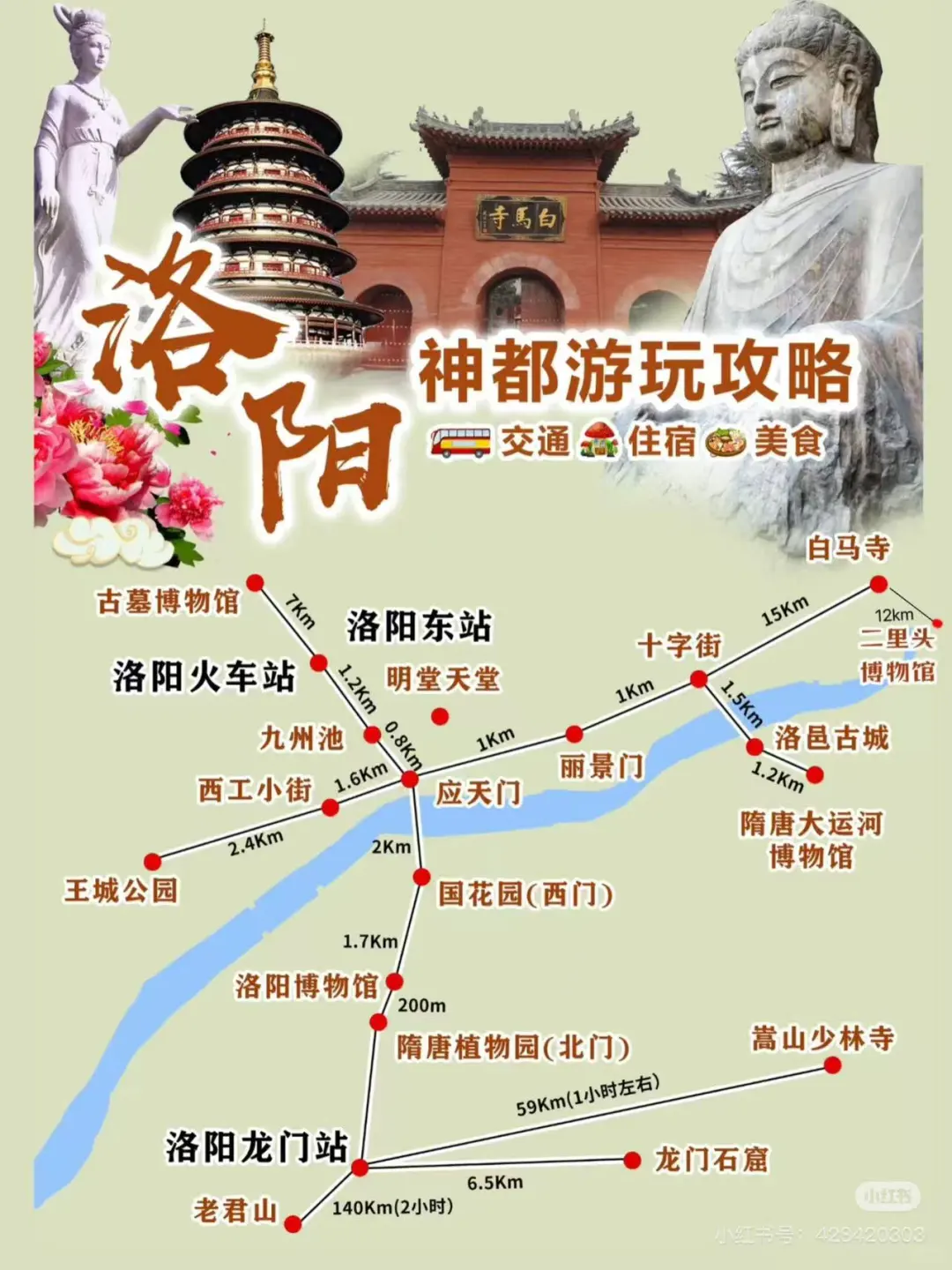 洛阳已回，五天四晚亲子游，人文之旅