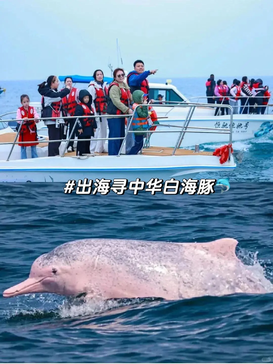 在三亚和崇左间选了崇左，娃玩到不想回家😂