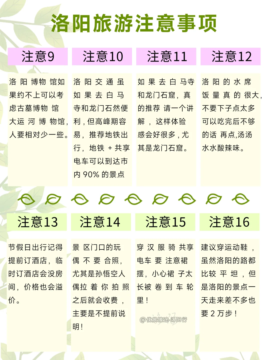 去洛阳bi看的真相😤90%的博主都不敢说❗️❗️