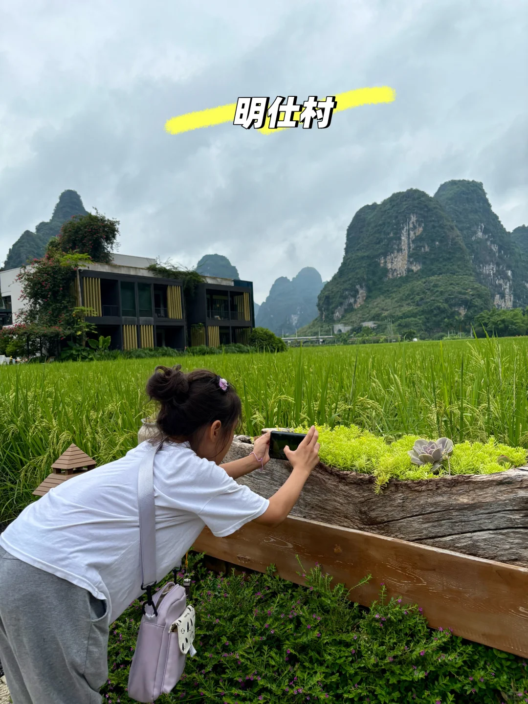 一拖二的暑假，我选择了冷门旅游城市，崇左
