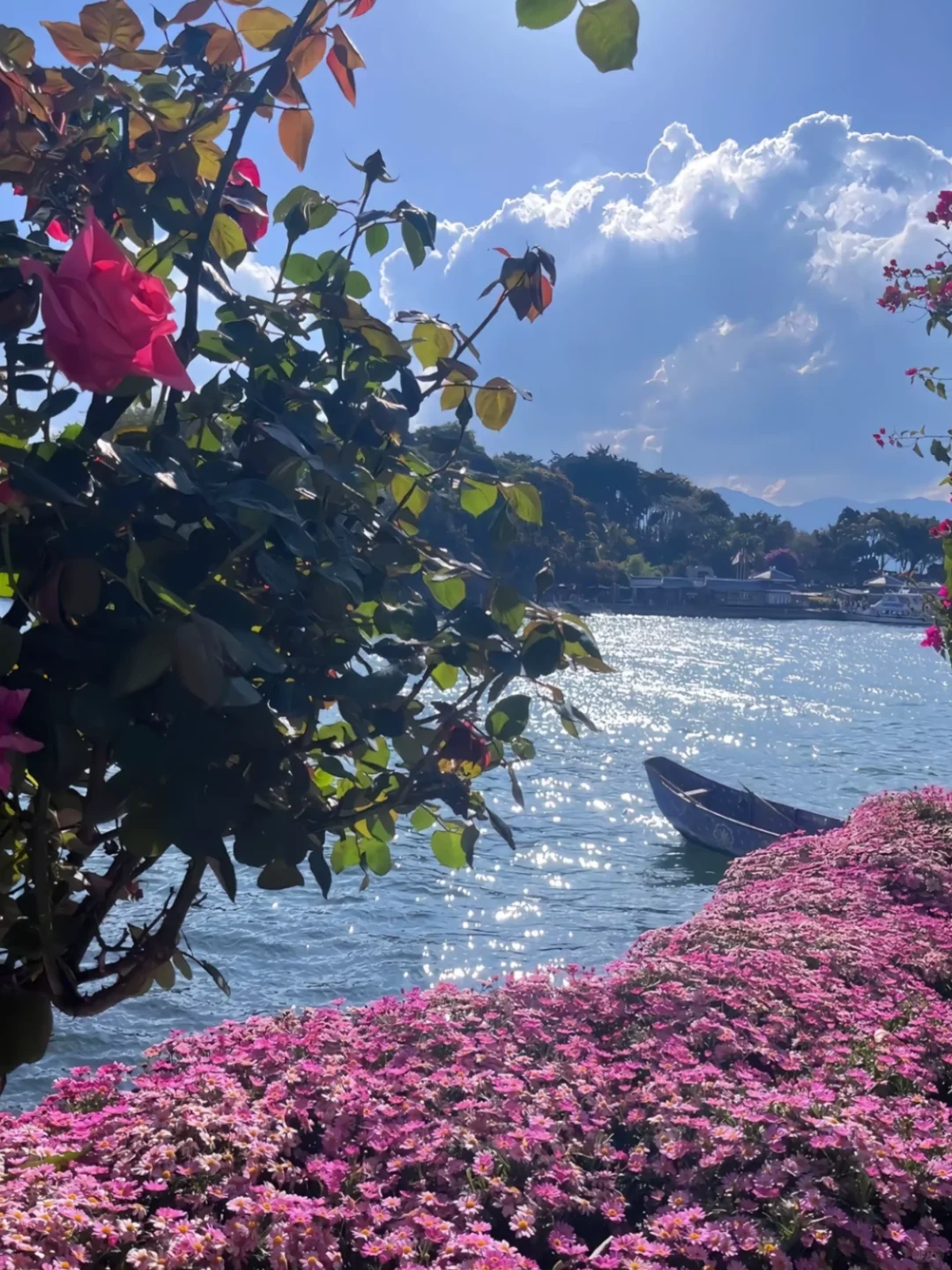 旅行✈️的意义是什么？