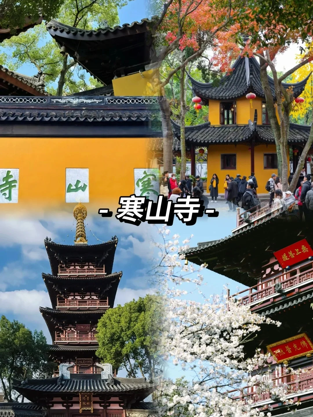 苏杭品质游📍人均1000+畅游人间天堂