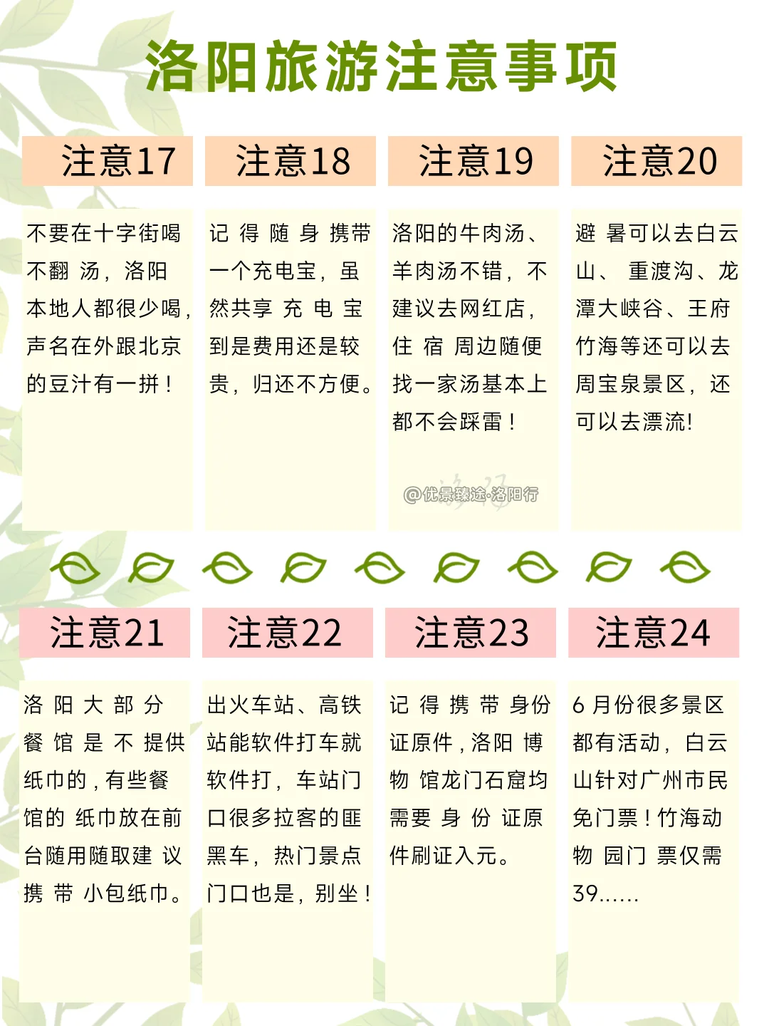 去洛阳bi看的真相😤90%的博主都不敢说❗️❗️