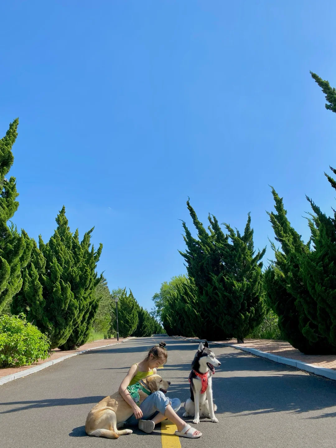 养马岛的玻璃海真的很美，骗人才不是小狗🐕