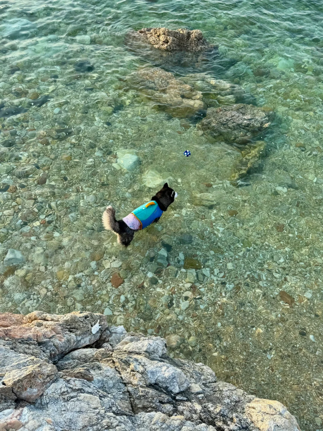 养马岛的玻璃海真的很美，骗人才不是小狗🐕