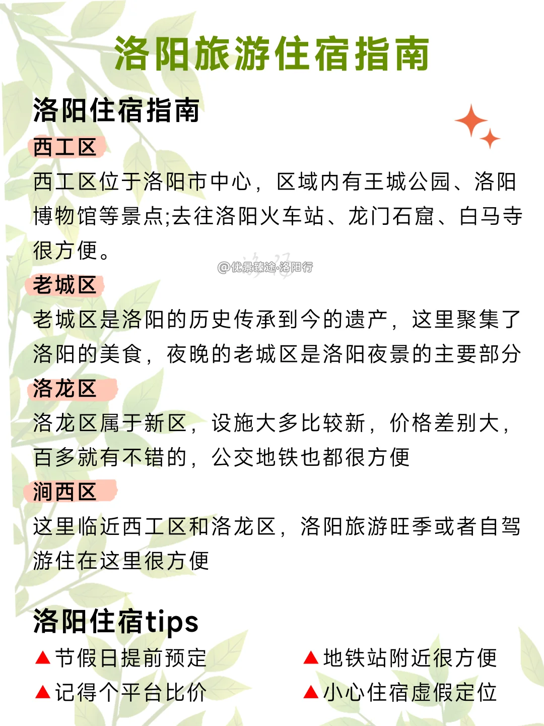 去洛阳bi看的真相😤90%的博主都不敢说❗️❗️