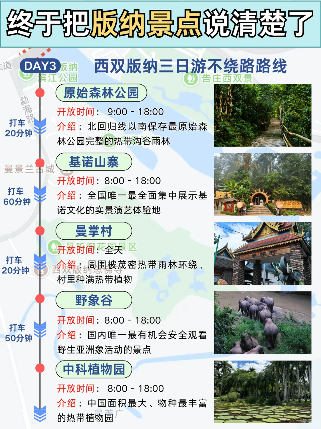 被自己做的版纳攻略满意到睡不着！！