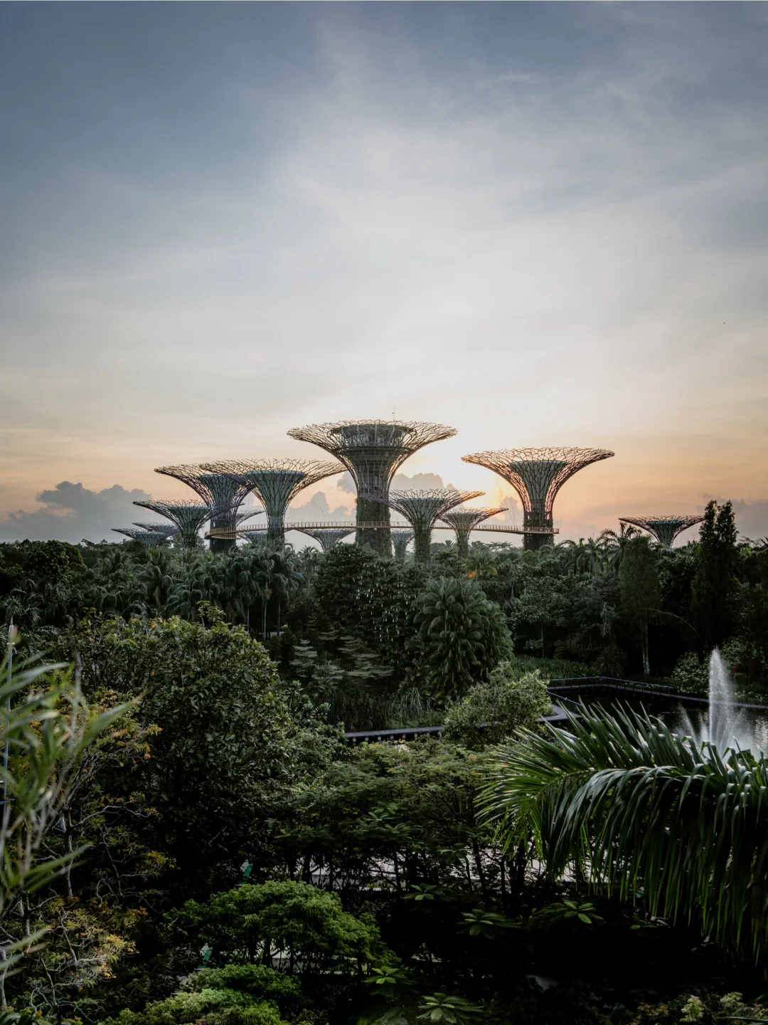 🇸🇬新加坡｜有了这份旅行攻略再也没踩过雷
