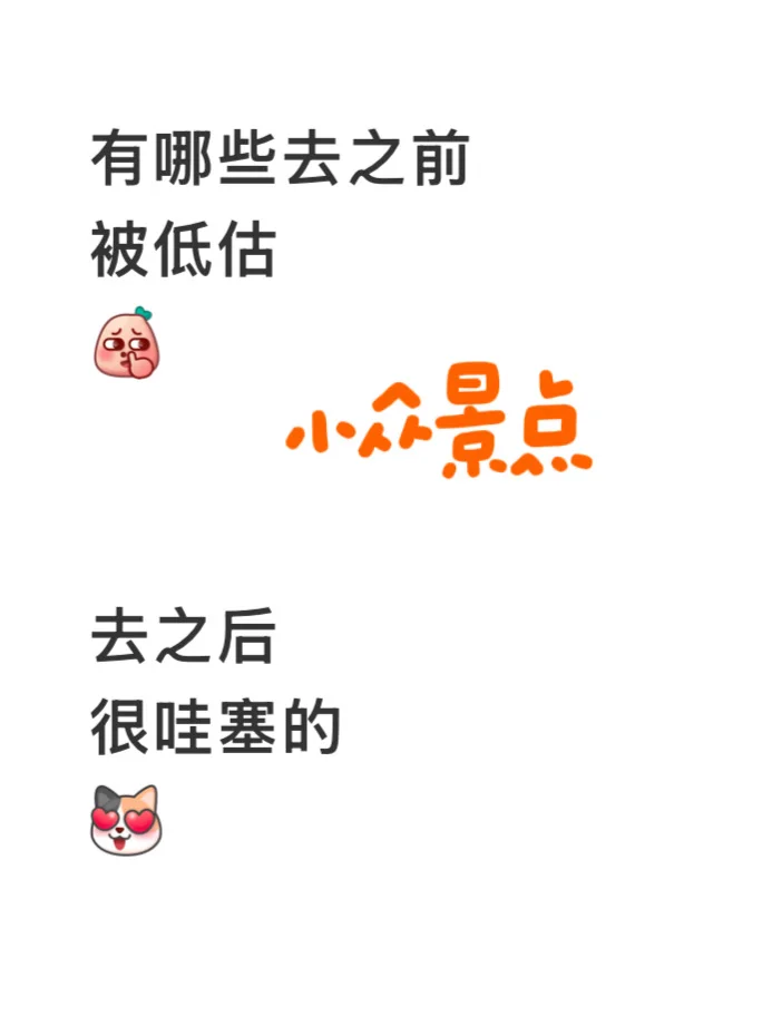 真后悔没有早点“来这里！”💥