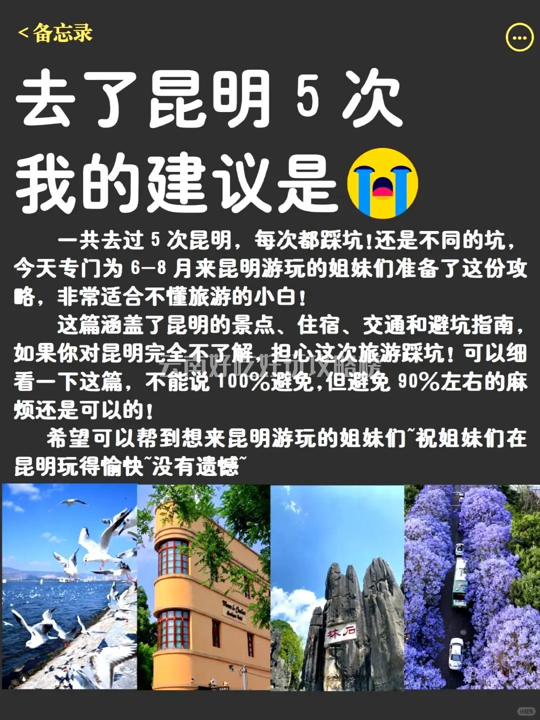 求求你们🙏别再把昆明视作中转站了‼️