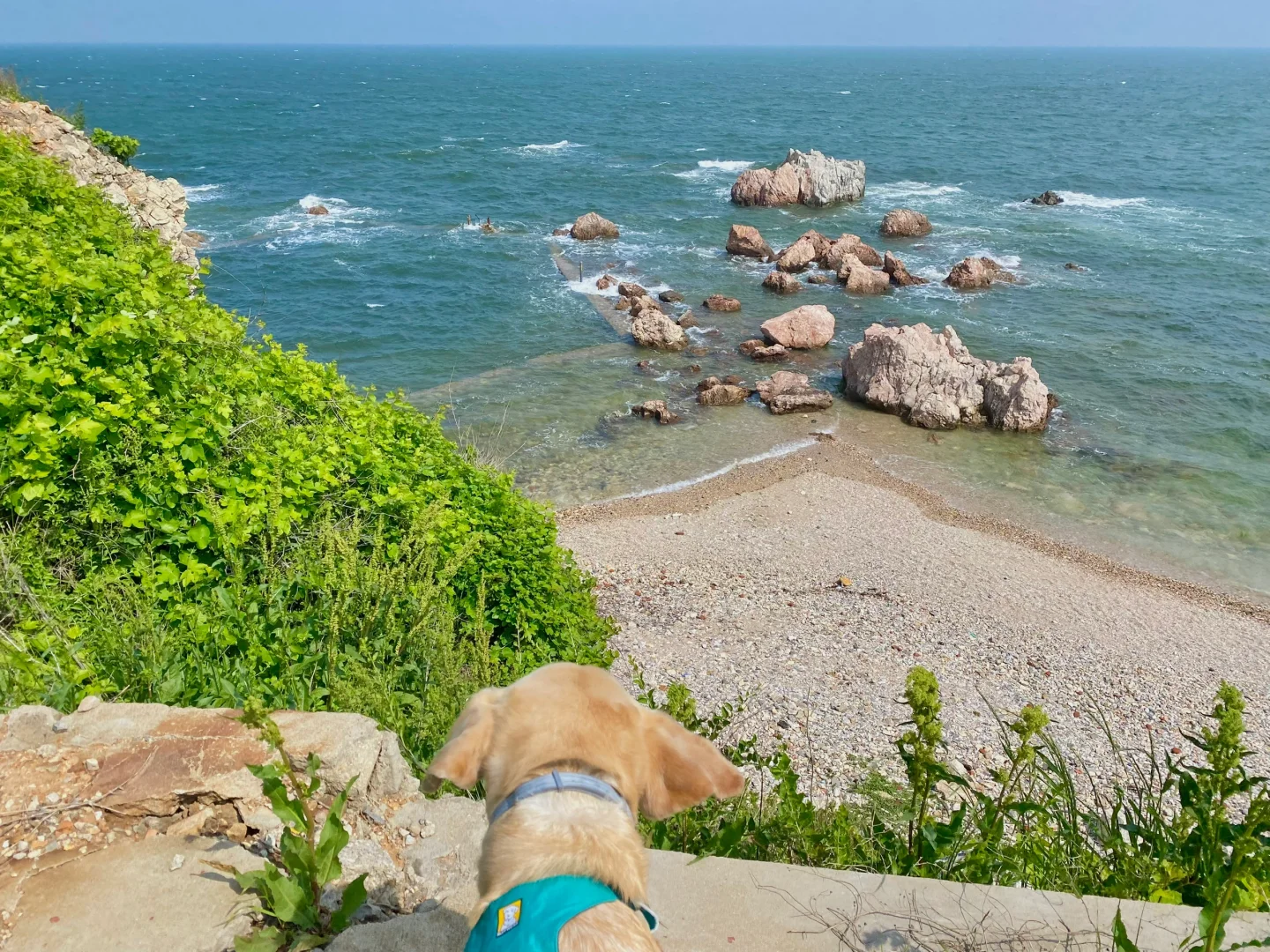 养马岛的玻璃海真的很美，骗人才不是小狗🐕