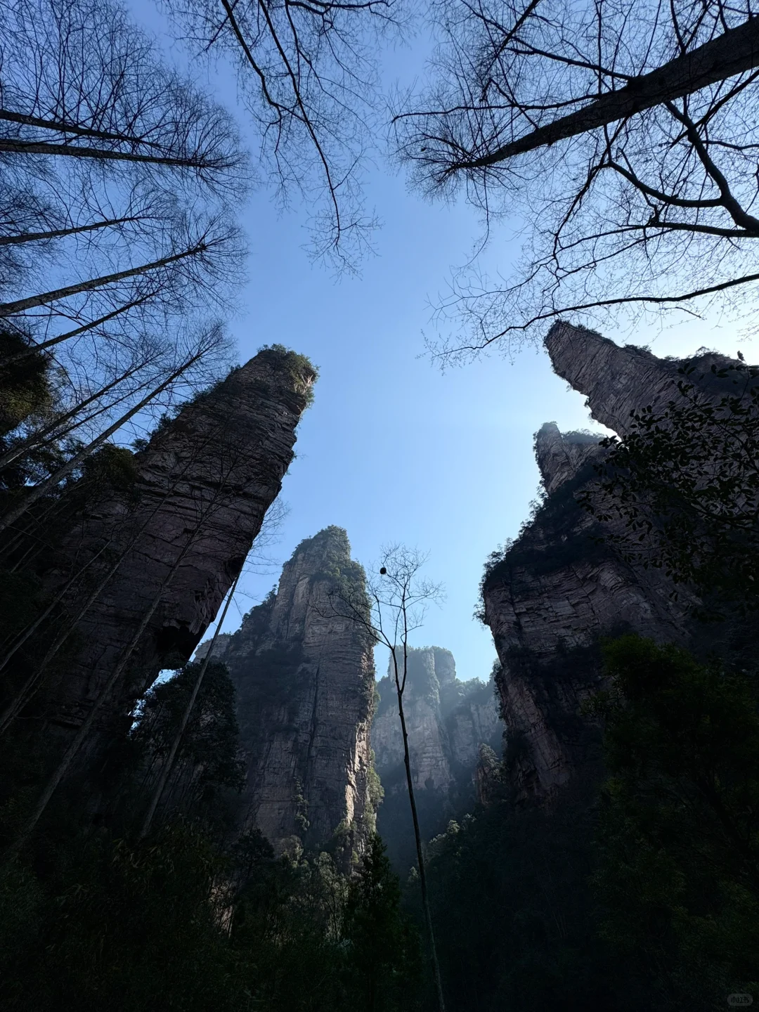 大学生毕业旅行第一站—张家界
