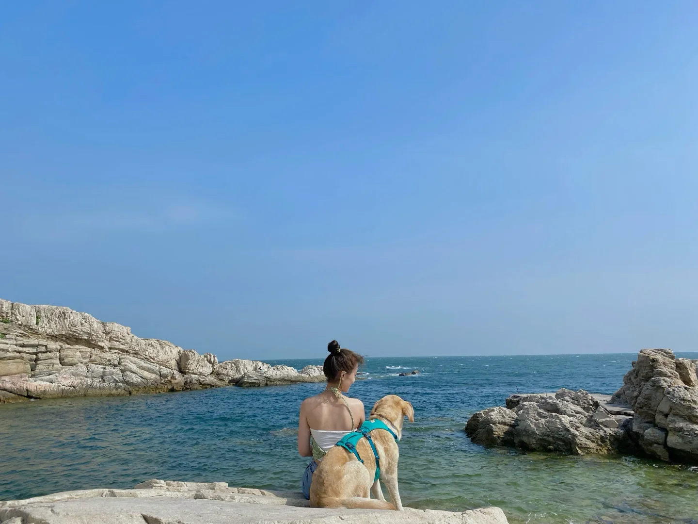 养马岛的玻璃海真的很美，骗人才不是小狗🐕