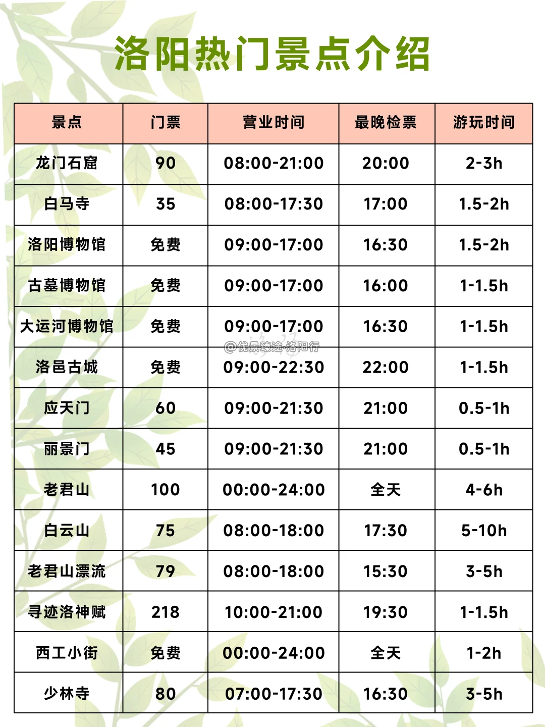 去洛阳bi看的真相😤90%的博主都不敢说❗️❗️