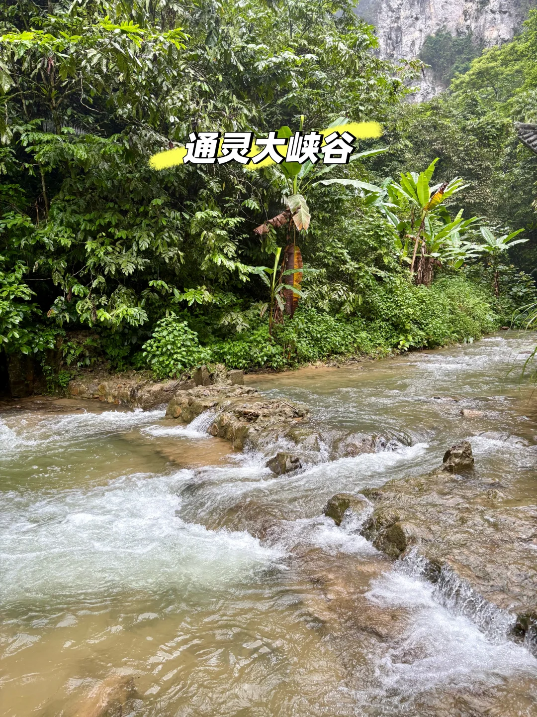 一拖二的暑假，我选择了冷门旅游城市，崇左