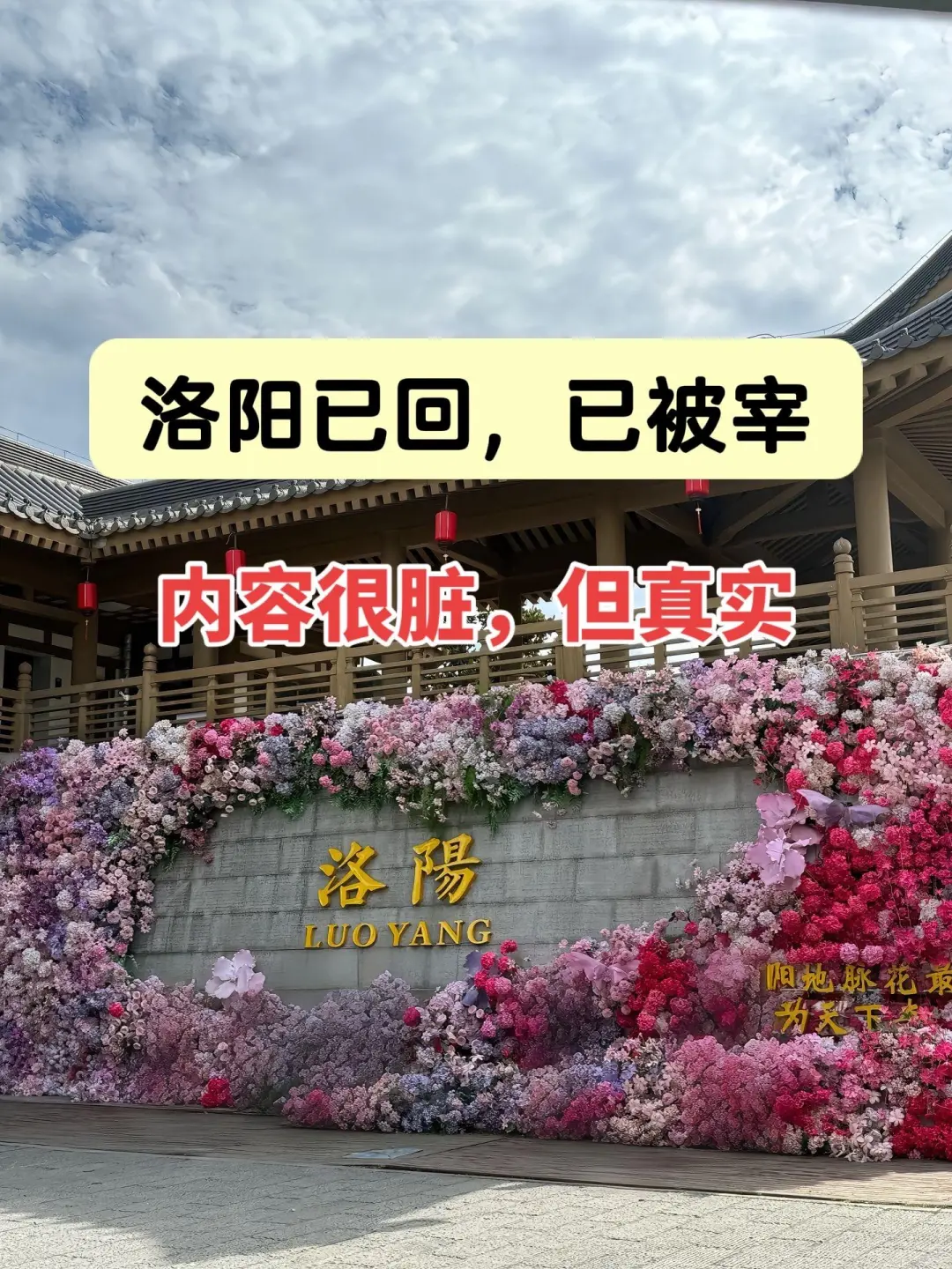去洛阳bi看的真相😤90%的博主都不敢说❗️❗️