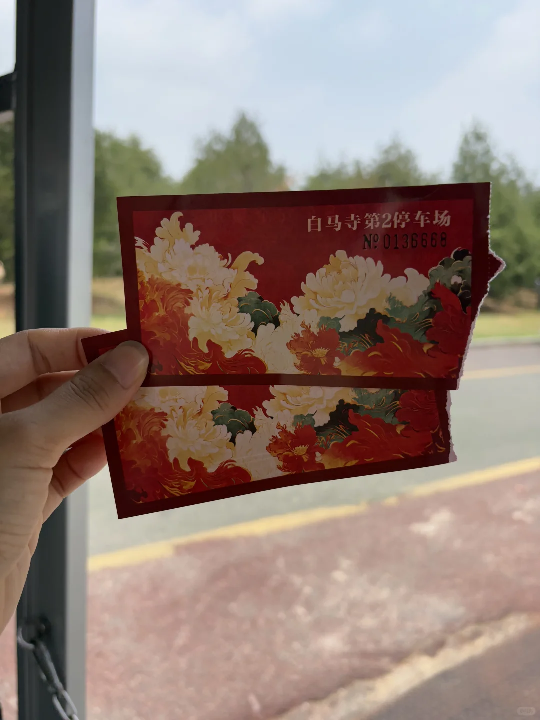洛阳已回，五天四晚亲子游，人文之旅